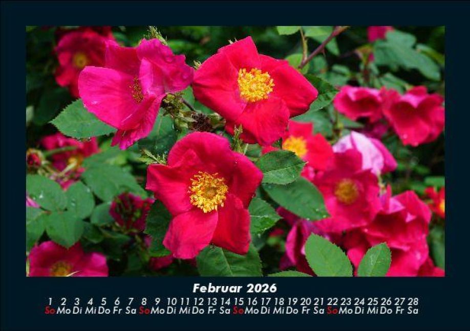 additionalImage6