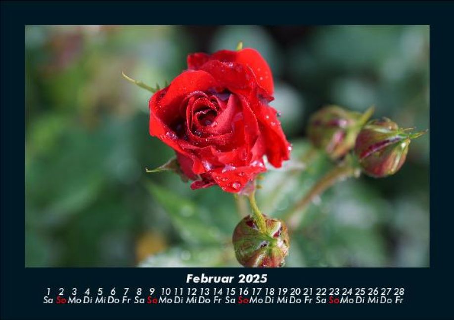 additionalImage6