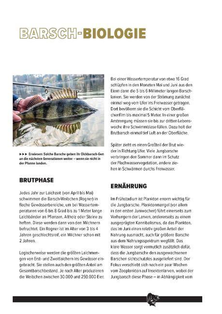 additionalImage2