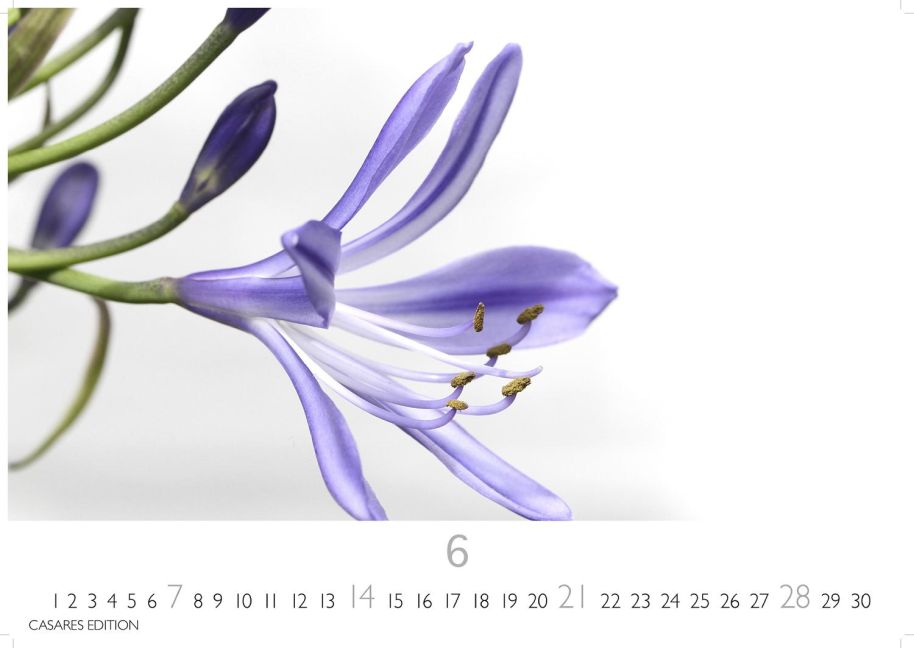 additionalImage6
