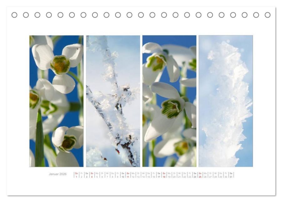 additionalImage6