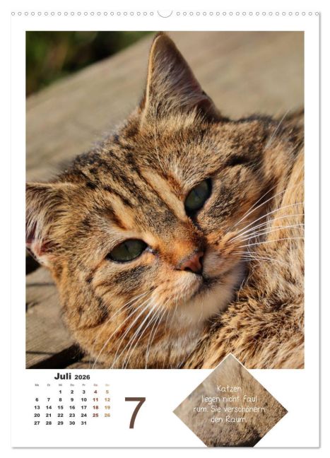 additionalImage12