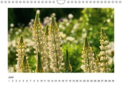 additionalImage6