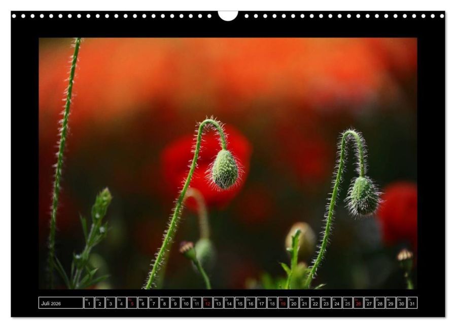 additionalImage12