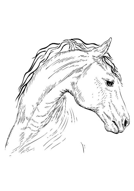 additionalImage7