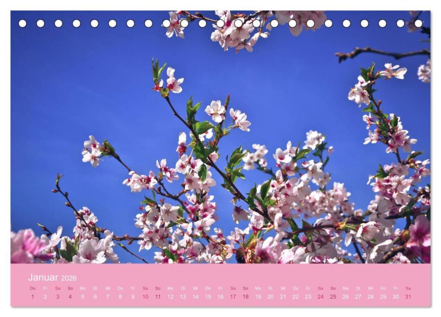 additionalImage6