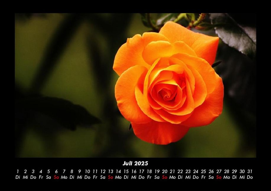 additionalImage11