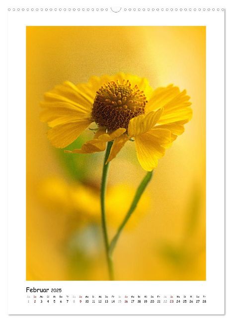 additionalImage7