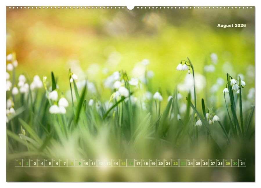 additionalImage13