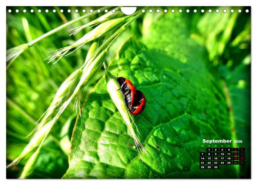 additionalImage14