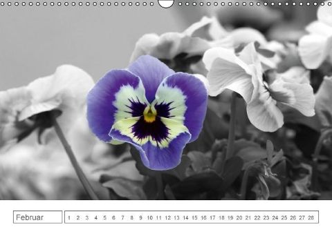 additionalImage2