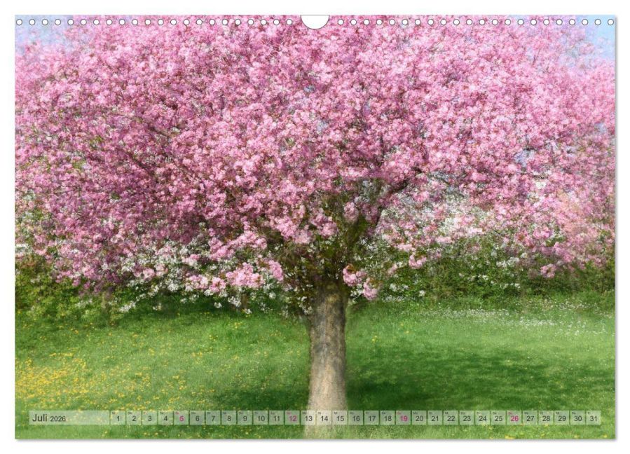 additionalImage12