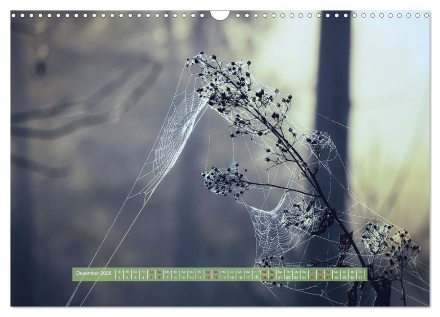 additionalImage4