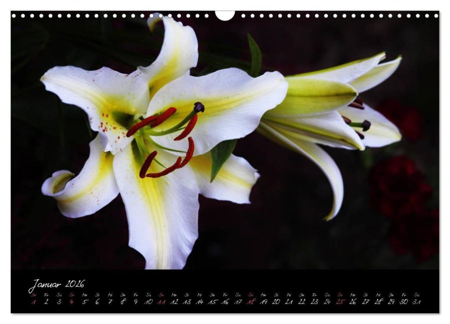 additionalImage6