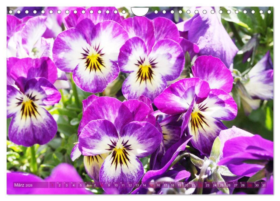 additionalImage8