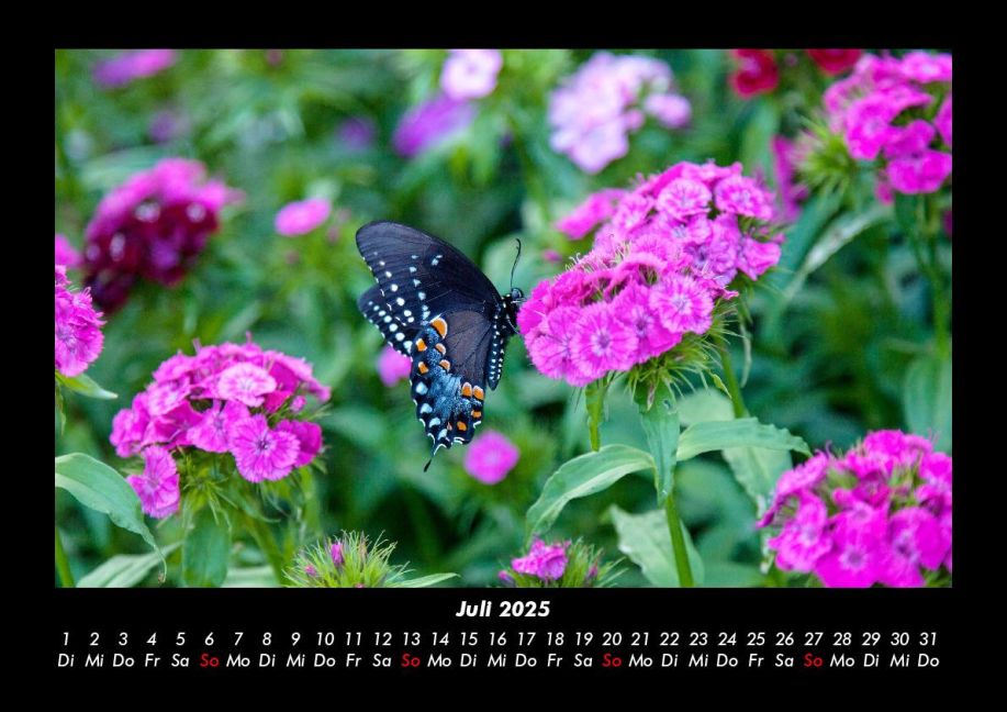 additionalImage11