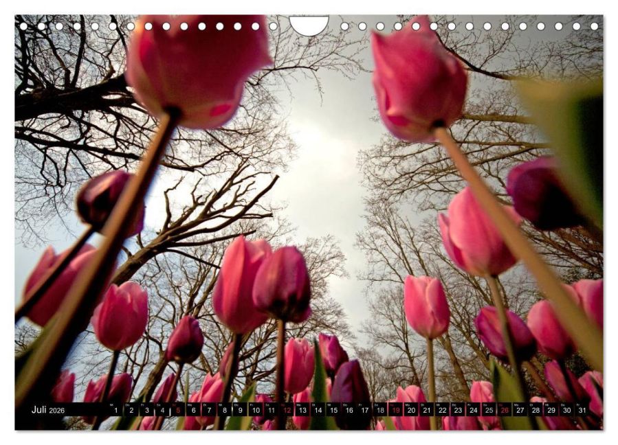 additionalImage12