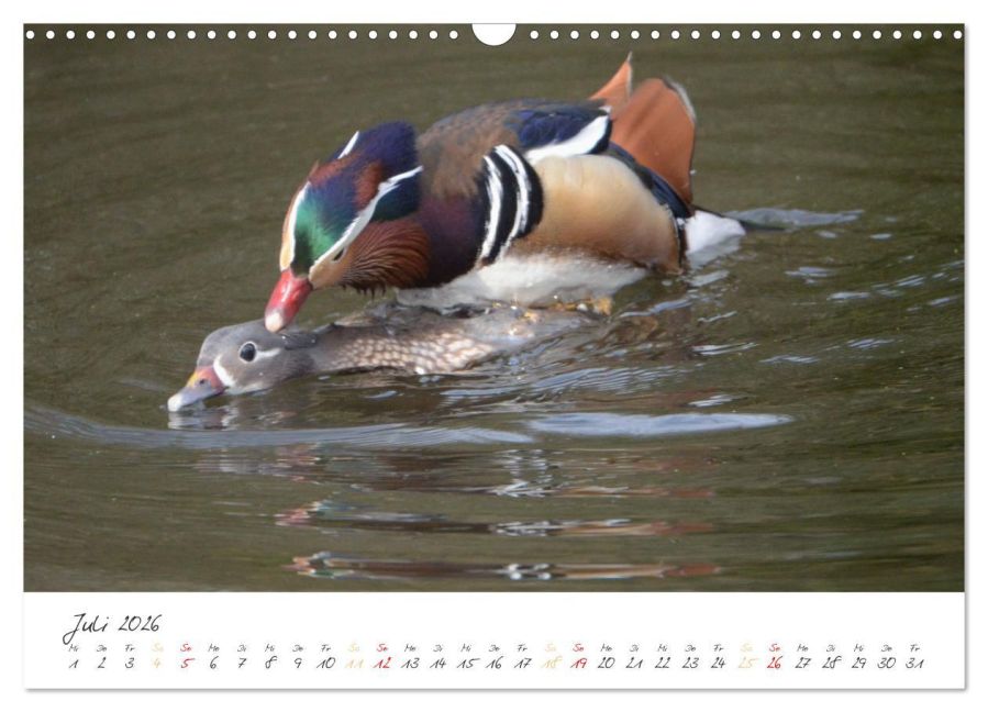 additionalImage12