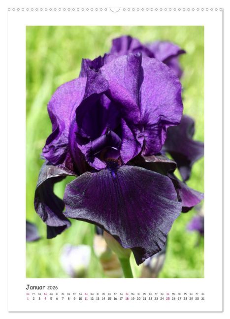 additionalImage6