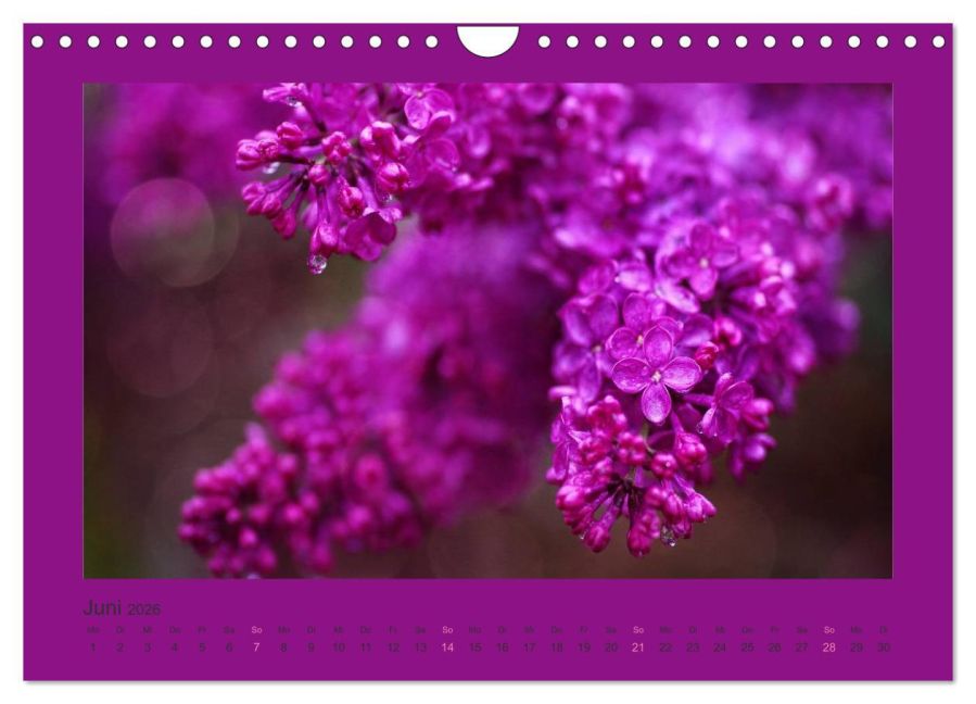 additionalImage11