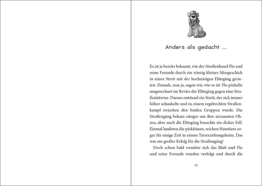 additionalImage2