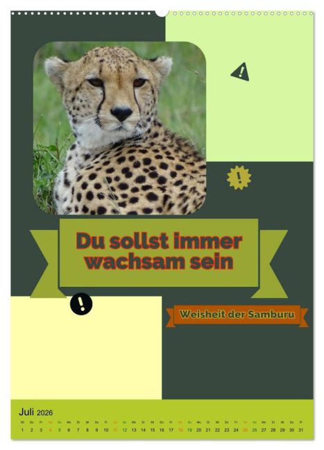 additionalImage11