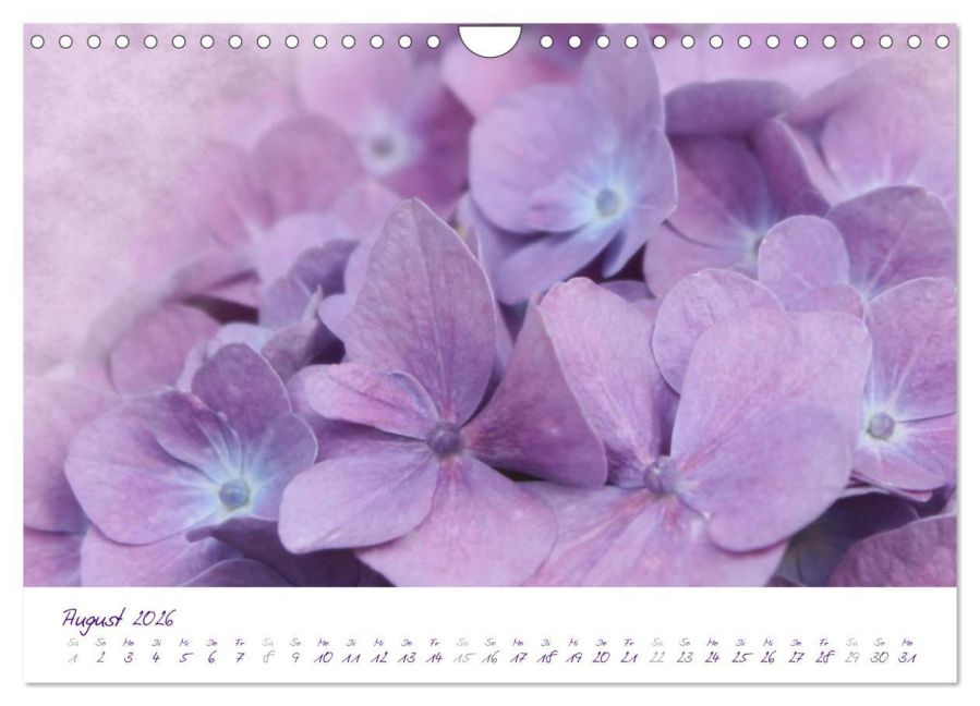 additionalImage13