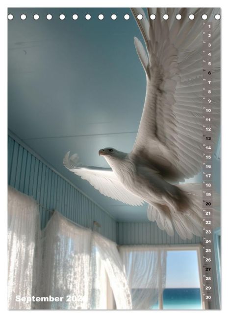 additionalImage14