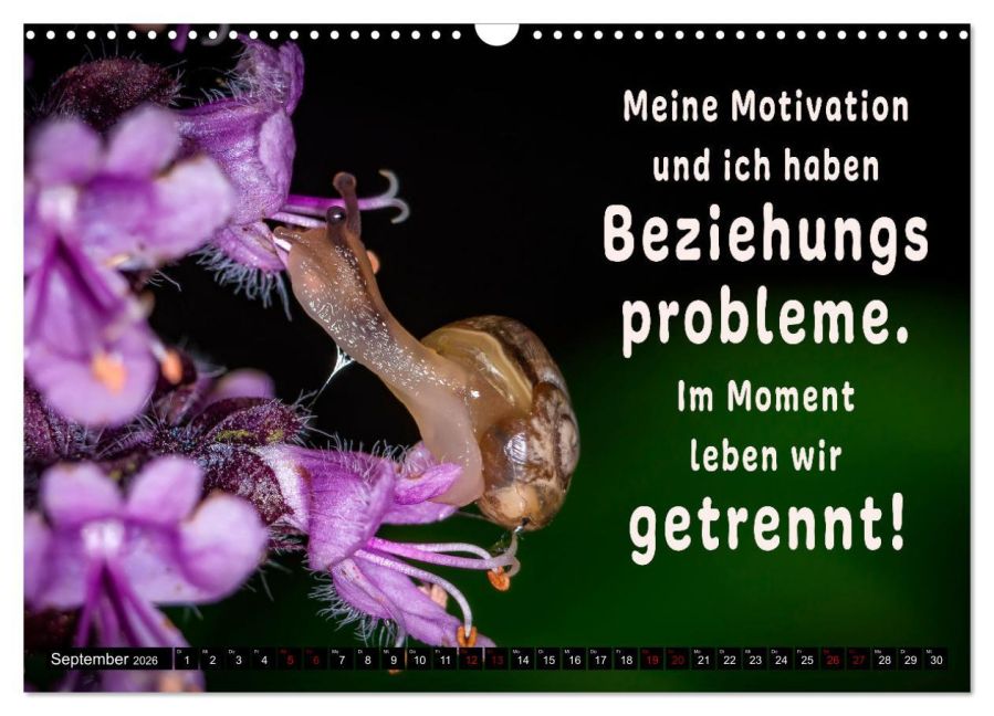 additionalImage14