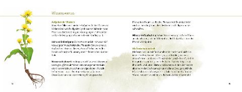 additionalImage6