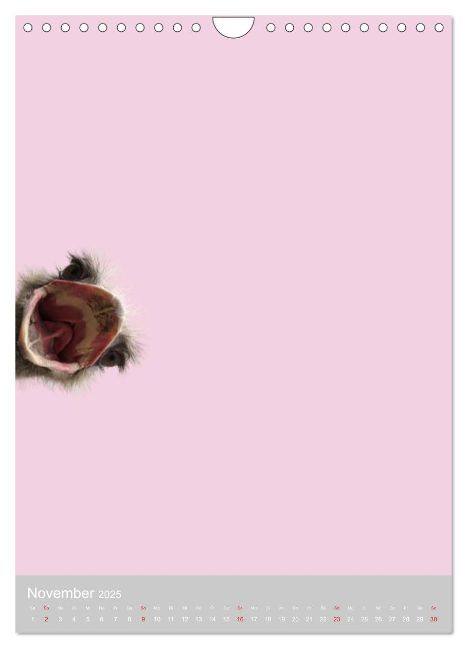 additionalImage3