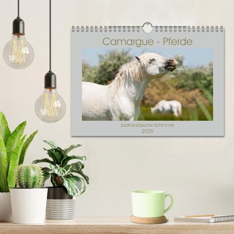 additionalImage1