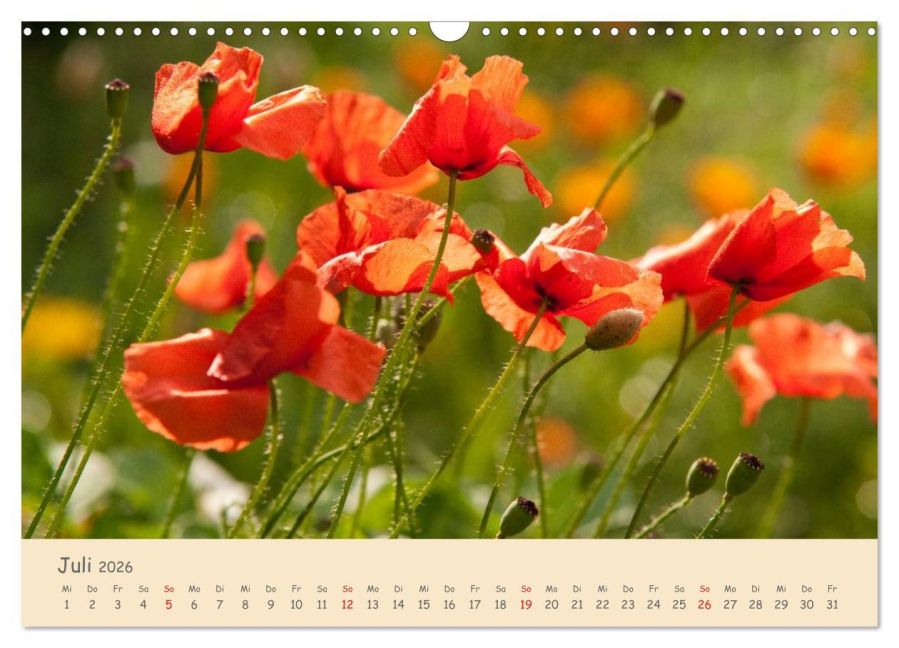 additionalImage12