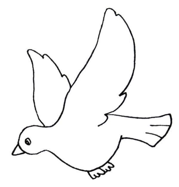 additionalImage11