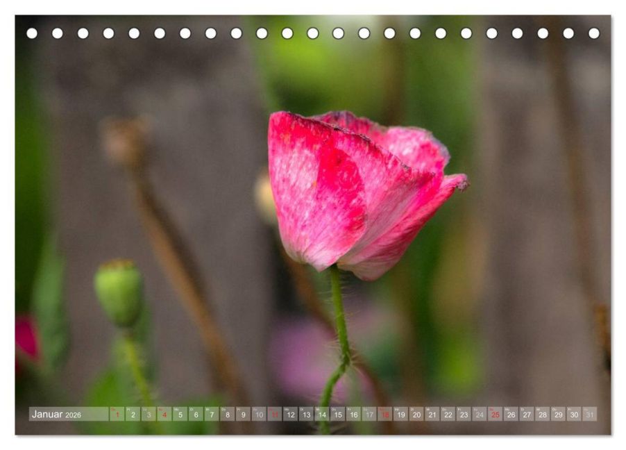 additionalImage6