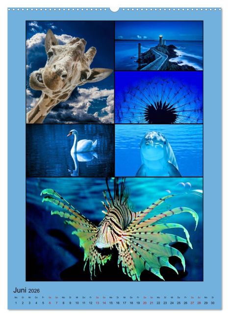 additionalImage10