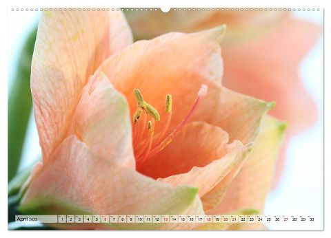 additionalImage9