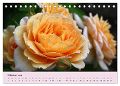 additionalImage1