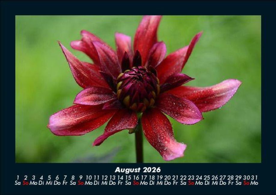 additionalImage12
