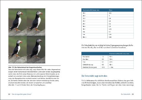 additionalImage3