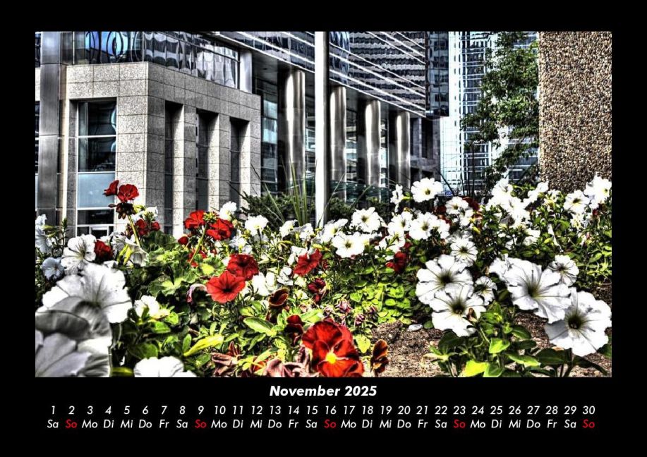 additionalImage3