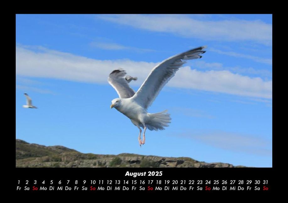 additionalImage12