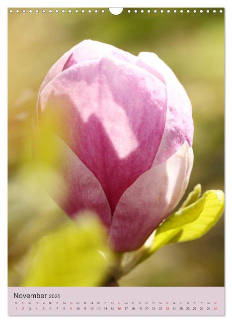 additionalImage3