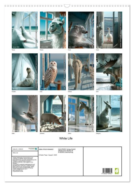 additionalImage5