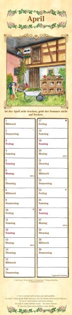 additionalImage4