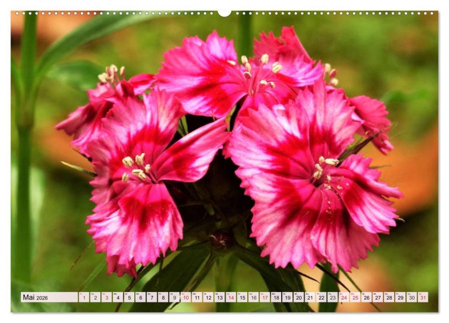 additionalImage10