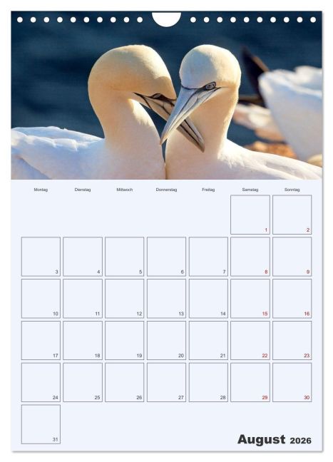 additionalImage13