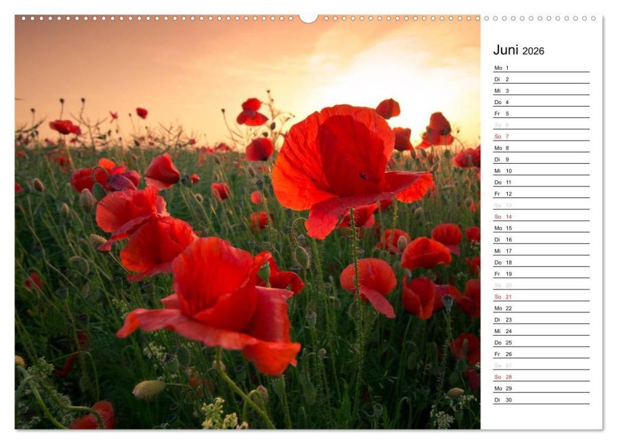 additionalImage10