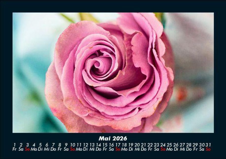 additionalImage9
