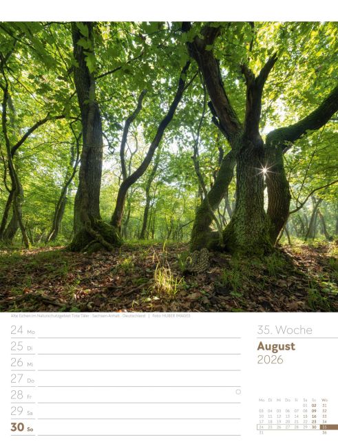 additionalImage38